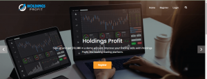 Holdings Profit